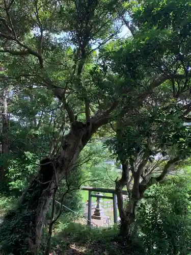 熊野神社の鳥居