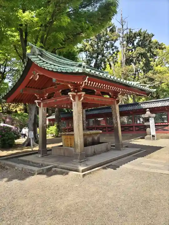 根津神社の手水舎