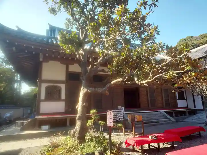 佛日庵の本殿・本堂