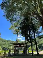 小玉川神社(長野県)