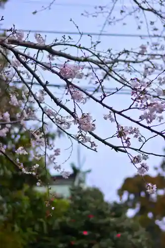 杉山社(神奈川県)