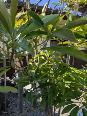 光明寺(岐阜県)