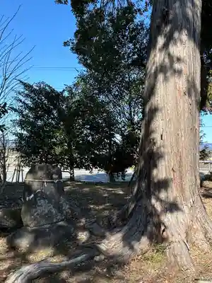 浅間神社(静岡県)