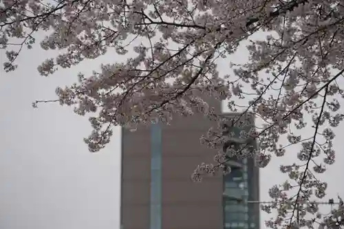 愛宕神社の景色