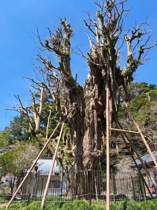 村山浅間神社(静岡県)