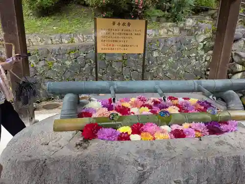 岡寺（龍蓋寺）(奈良県)