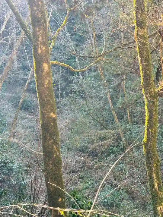 高尾山薬王院の{uncategorized: "未分類", other: "その他", undefined: "問題あり", building: "その他建物", grave: "お墓", sacred_gate: "鳥居", guardian: "狛犬", statue: "像", buddha: "仏像", history: "歴史", nature: "自然", garden: "庭園", animal: "動物", pagoda: "塔", temizu: "手水舎", mountain_gate: "山門・神門", sanctuary: "本殿・本堂", subordinate: "末社・摂社", art: "芸術", scenery: "景色", jizo: "地蔵", ema: "絵馬", goshuin: "御朱印", omikuji: "おみくじ", items: "授与品その他", amulet: "お守り", goshuincho: "御朱印帳", eats: "食事", festival: "お祭り", votive_dance: "神楽", shichigosan: "七五三参", wedding: "結婚式", experience: "体験その他", initially: "初詣", around: "周辺", anti_infection: "感染症対策"}