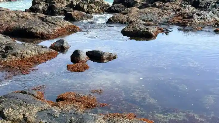 小谷石大明神の{uncategorized: "未分類", other: "その他", undefined: "問題あり", building: "その他建物", grave: "お墓", sacred_gate: "鳥居", guardian: "狛犬", statue: "像", buddha: "仏像", history: "歴史", nature: "自然", garden: "庭園", animal: "動物", pagoda: "塔", temizu: "手水舎", mountain_gate: "山門・神門", sanctuary: "本殿・本堂", subordinate: "末社・摂社", art: "芸術", scenery: "景色", jizo: "地蔵", ema: "絵馬", goshuin: "御朱印", omikuji: "おみくじ", items: "授与品その他", amulet: "お守り", goshuincho: "御朱印帳", eats: "食事", festival: "お祭り", votive_dance: "神楽", shichigosan: "七五三参", wedding: "結婚式", experience: "体験その他", initially: "初詣", around: "周辺", anti_infection: "感染症対策"}