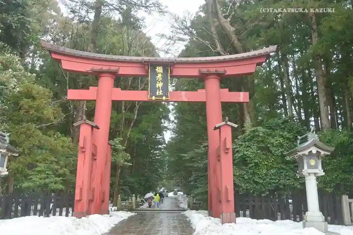 彌彦神社の鳥居