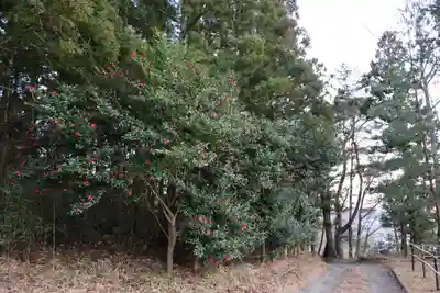 安達太良神社の景色