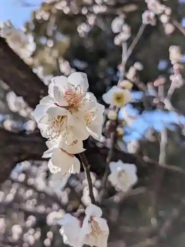 福蔵院(東京都)
