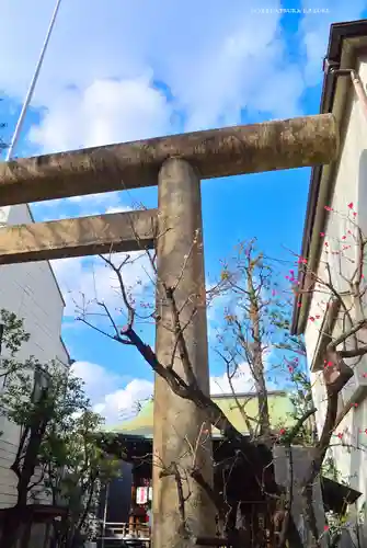 櫻木神社(東京都)
