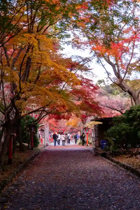 大原野神社(京都府)