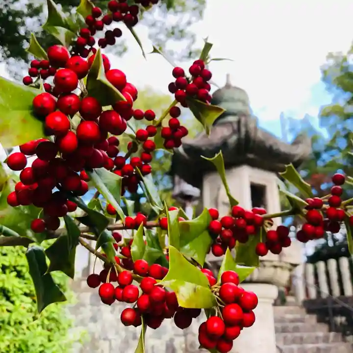 成海神社(愛知県)