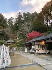 岡寺（龍蓋寺）(奈良県)