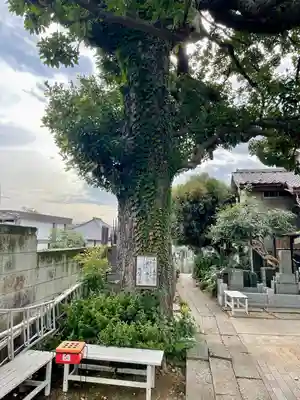 佛心寺(東京都)