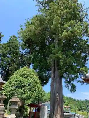 菅生神社(宮城県)