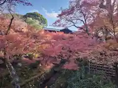 東福禅寺（東福寺）(京都府)