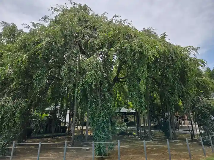 足羽神社(福井県)