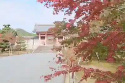 仁和寺のその他建物