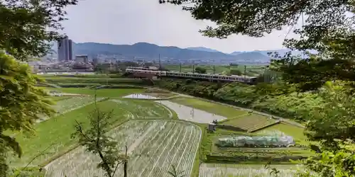 桑田神社(京都府)