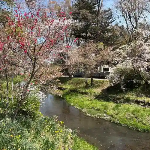 淺間神社（忍野八海）の{uncategorized: "未分類", other: "その他", undefined: "問題あり", building: "その他建物", grave: "お墓", sacred_gate: "鳥居", guardian: "狛犬", statue: "像", buddha: "仏像", history: "歴史", nature: "自然", garden: "庭園", animal: "動物", pagoda: "塔", temizu: "手水舎", mountain_gate: "山門・神門", sanctuary: "本殿・本堂", subordinate: "末社・摂社", art: "芸術", scenery: "景色", jizo: "地蔵", ema: "絵馬", goshuin: "御朱印", omikuji: "おみくじ", items: "授与品その他", amulet: "お守り", goshuincho: "御朱印帳", eats: "食事", festival: "お祭り", votive_dance: "神楽", shichigosan: "七五三参", wedding: "結婚式", experience: "体験その他", initially: "初詣", around: "周辺", anti_infection: "感染症対策"}