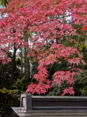大正寺(東京都)
