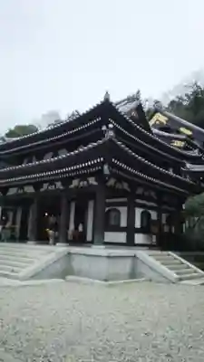 長谷寺の本殿・本堂