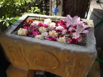 菊名神社の手水舎