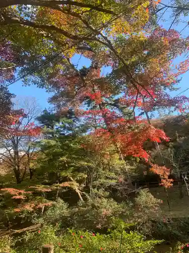 養老神社(岐阜県)