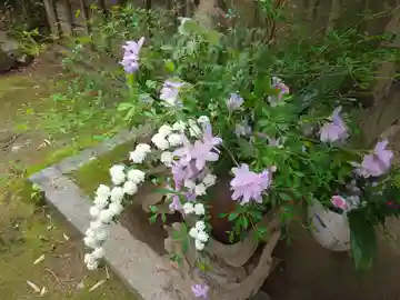 龍潭寺(京都府)