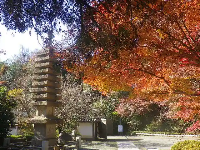 覚園寺の塔