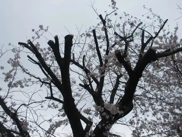 東光寺(神奈川県)