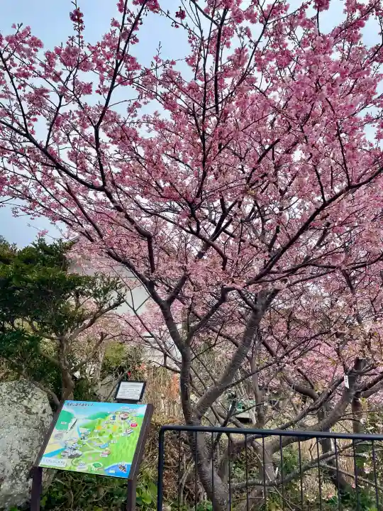 愛染明王堂の{uncategorized: "未分類", other: "その他", undefined: "問題あり", building: "その他建物", grave: "お墓", sacred_gate: "鳥居", guardian: "狛犬", statue: "像", buddha: "仏像", history: "歴史", nature: "自然", garden: "庭園", animal: "動物", pagoda: "塔", temizu: "手水舎", mountain_gate: "山門・神門", sanctuary: "本殿・本堂", subordinate: "末社・摂社", art: "芸術", scenery: "景色", jizo: "地蔵", ema: "絵馬", goshuin: "御朱印", omikuji: "おみくじ", items: "授与品その他", amulet: "お守り", goshuincho: "御朱印帳", eats: "食事", festival: "お祭り", votive_dance: "神楽", shichigosan: "七五三参", wedding: "結婚式", experience: "体験その他", initially: "初詣", around: "周辺", anti_infection: "感染症対策"}