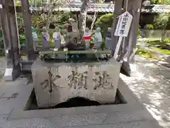 地泉院の手水