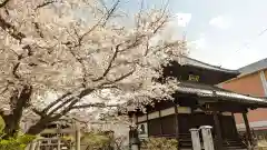 妙顯寺（妙顕寺）(京都府)