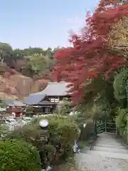 岡寺（龍蓋寺）の建物その他