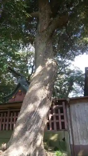 熱田神社の建物その他