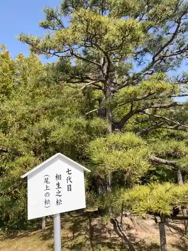 尾上神社の庭園