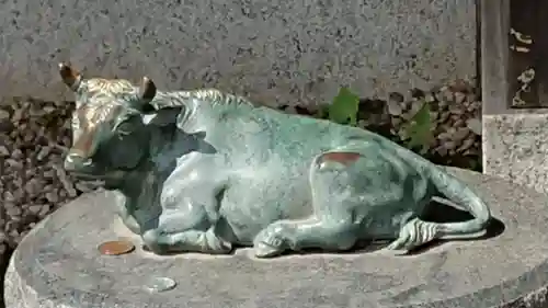 赤羽八幡神社の狛犬