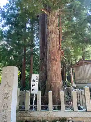 八海神社(新潟県)