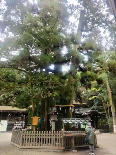 大神神社(奈良県)