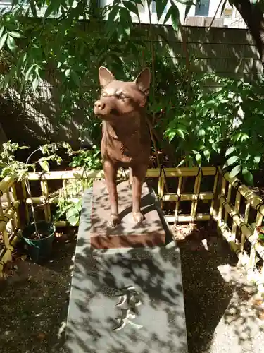 蔵前神社の狛犬