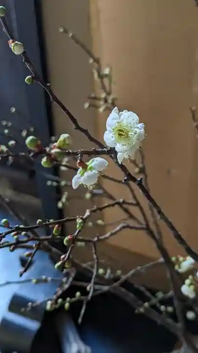 尊陽院(京都府)