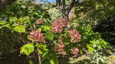 正法寺(京都府)