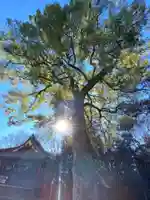 鷲宮神社のその他建物