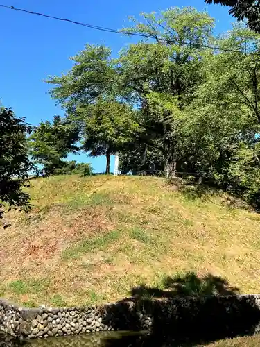 安禅寺(新潟県)