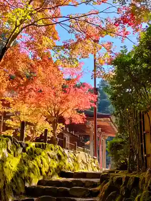 西明寺の本殿・本堂