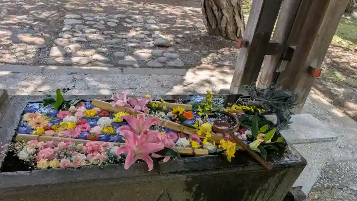 札幌護國神社の{uncategorized: "未分類", other: "その他", undefined: "問題あり", building: "その他建物", grave: "お墓", sacred_gate: "鳥居", guardian: "狛犬", statue: "像", buddha: "仏像", history: "歴史", nature: "自然", garden: "庭園", animal: "動物", pagoda: "塔", temizu: "手水舎", mountain_gate: "山門・神門", sanctuary: "本殿・本堂", subordinate: "末社・摂社", art: "芸術", scenery: "景色", jizo: "地蔵", ema: "絵馬", goshuin: "御朱印", omikuji: "おみくじ", items: "授与品その他", amulet: "お守り", goshuincho: "御朱印帳", eats: "食事", festival: "お祭り", votive_dance: "神楽", shichigosan: "七五三参", wedding: "結婚式", experience: "体験その他", initially: "初詣", around: "周辺", anti_infection: "感染症対策"}