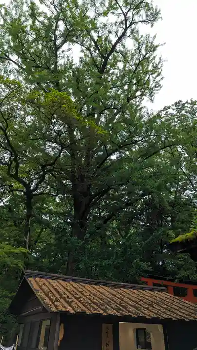 河合神社(鴨川合坐小社宅神社)(京都府)